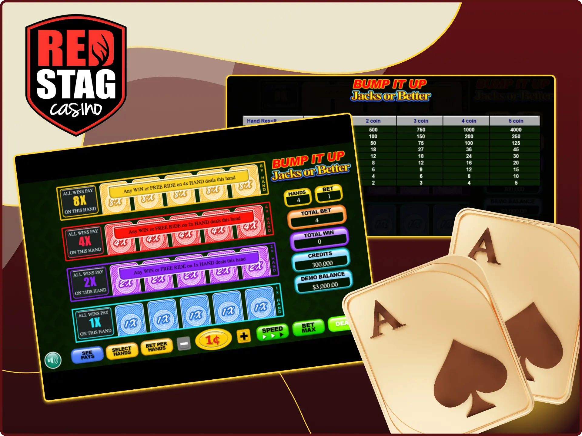 Learn the rules of video poker games at Red Stag online casino.